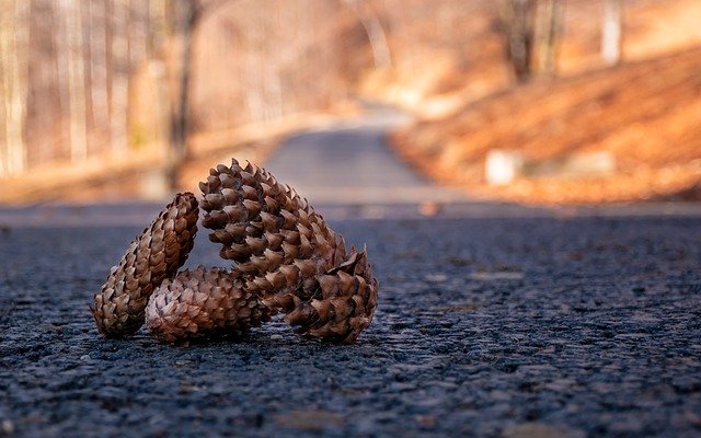 asphalt driveways