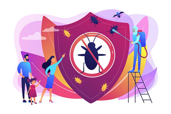 getting rid of beg bugs