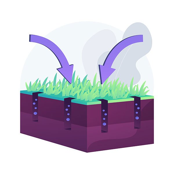 lawn aeration