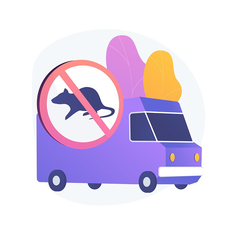 How to get rid of rat in the attic