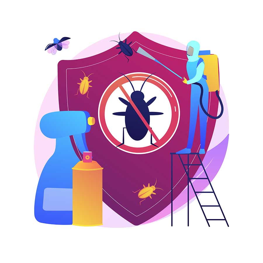 ant-infestation