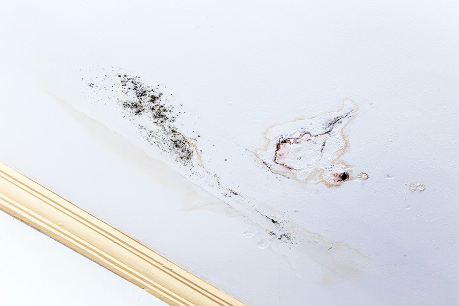 How to avoid mold cross contamination