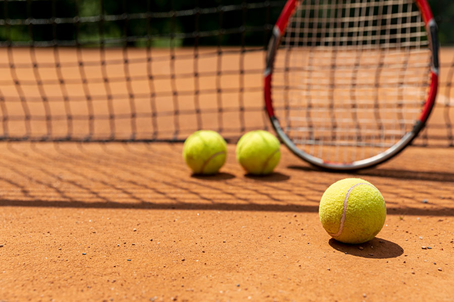 Sport Court Cost: Understanding the Key Cost Factors Sport Court Cost: Understanding the Key Cost Factors