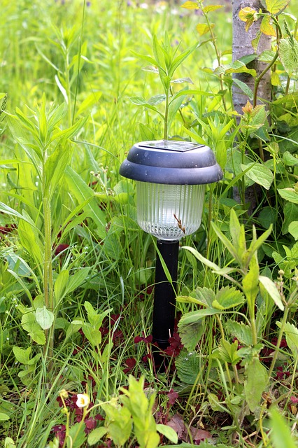 Solar lights