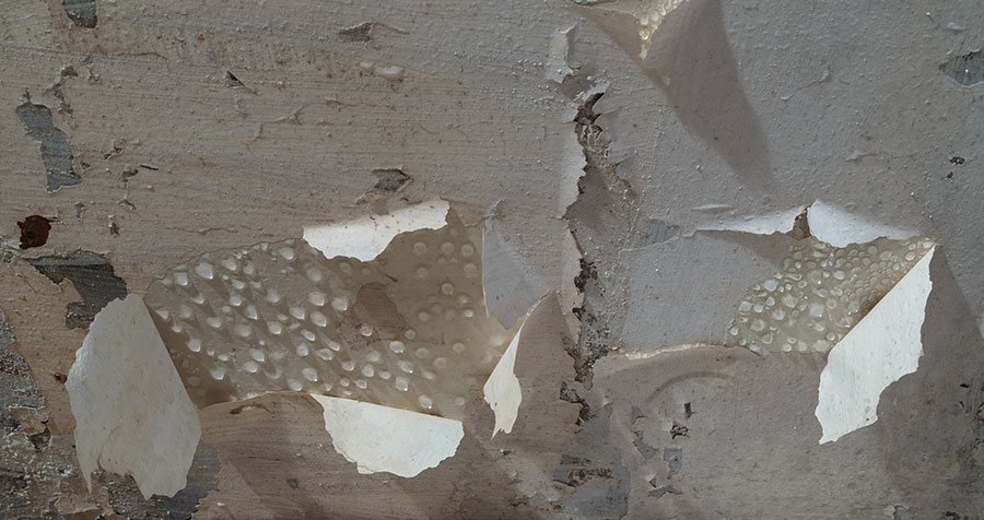 basement ceiling leaking