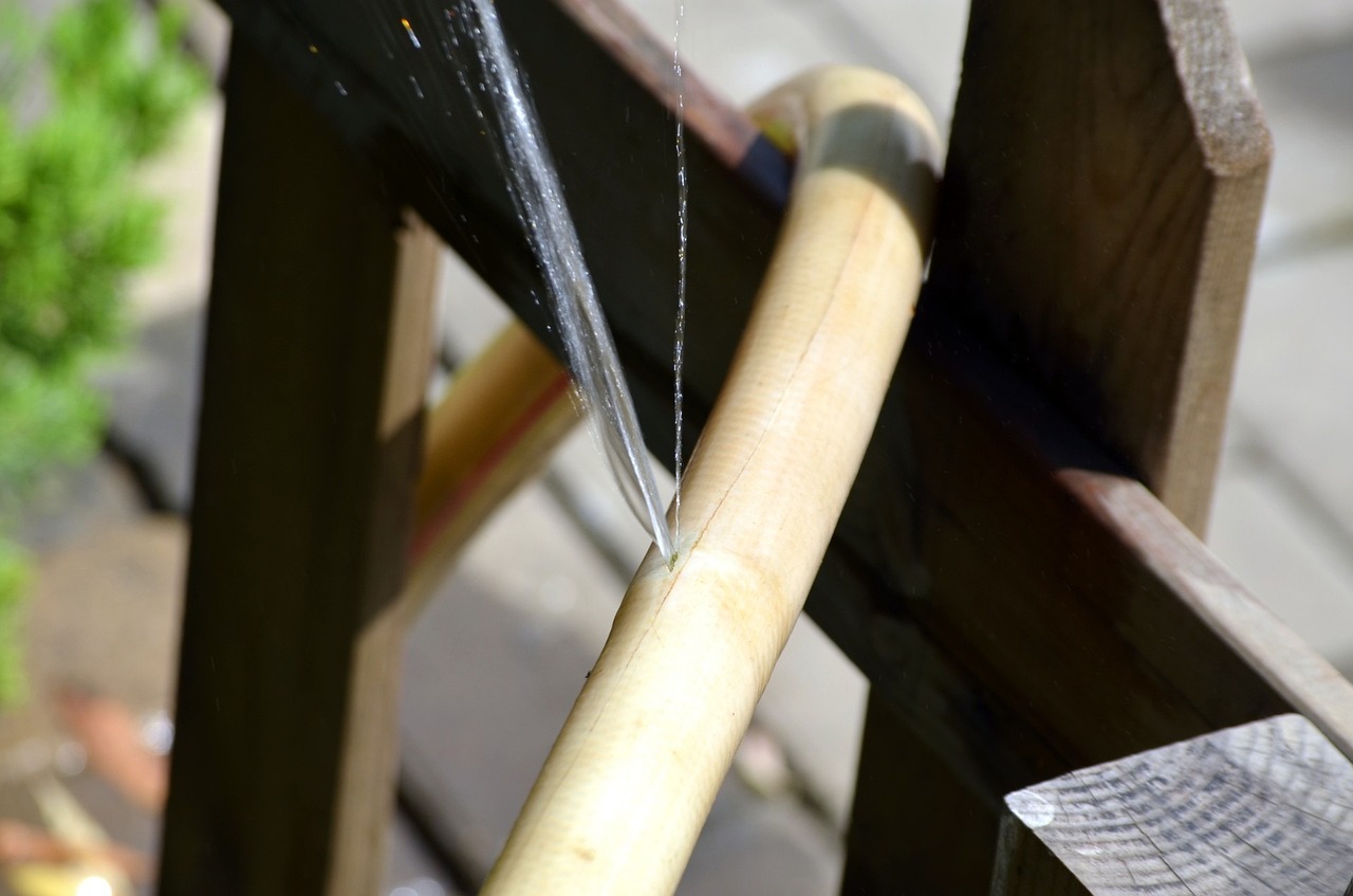 Hose with a leak