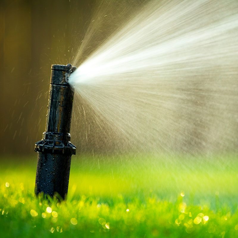 maintenance for sprinkler