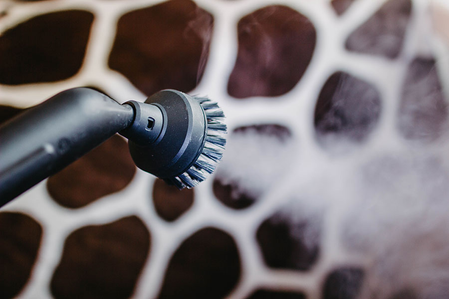 steaming couch
