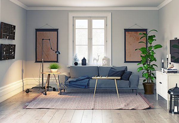 wall decor with plants