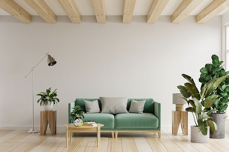 decor ideas for students