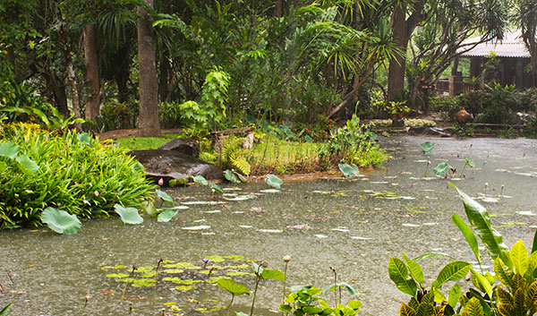 patio flooding when rains