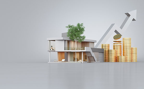 house prices rise and drop