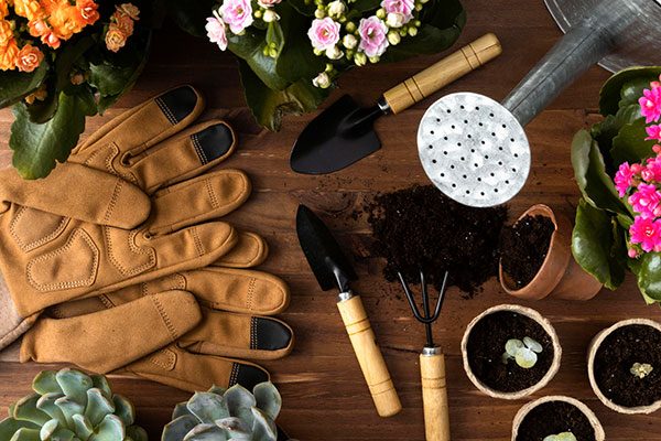 water garden tools