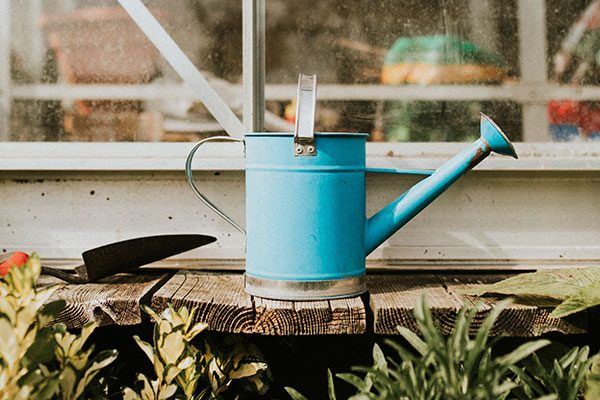 watering garden