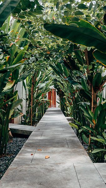 front steps with plants