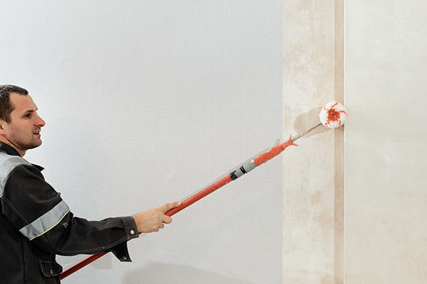 matte paint in home