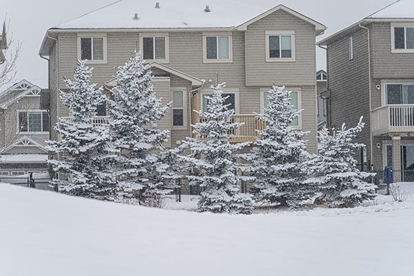 what to do if a blizzard comes