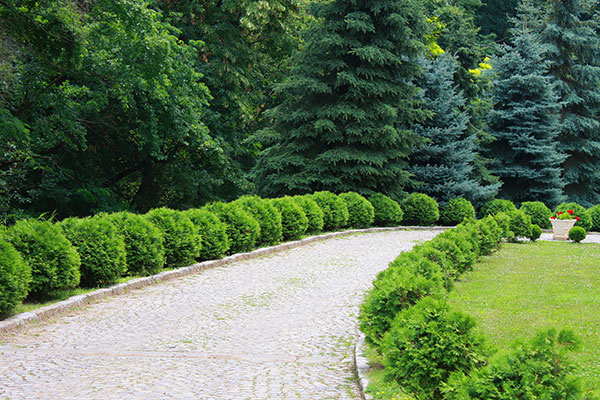 beautiful circular driveway