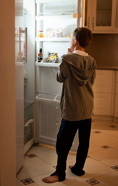fridge issues