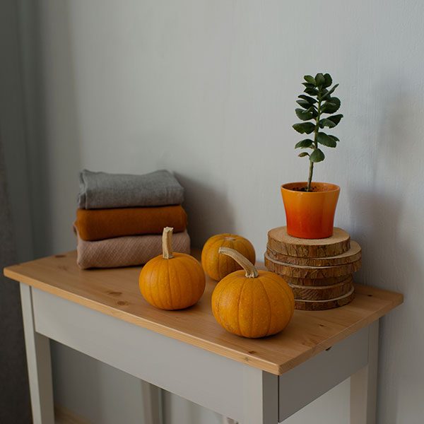 living room fall decor