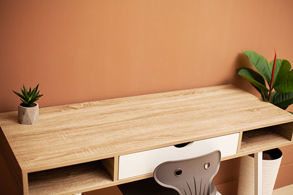 office decor with plants