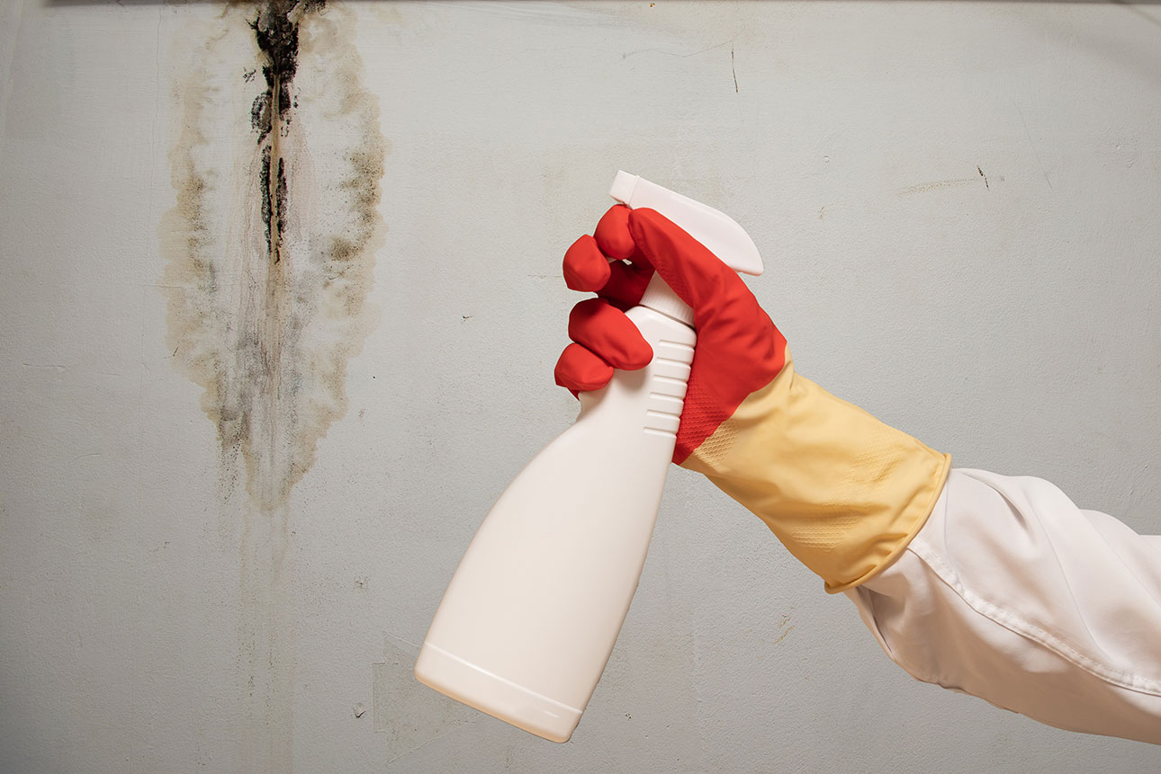 Condensation Spots On Walls [Reasons and Solutions]