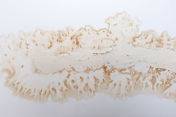 Water stains on ceiling
