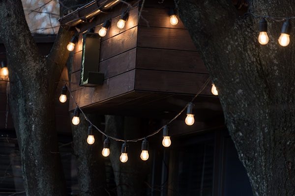 autumn lights