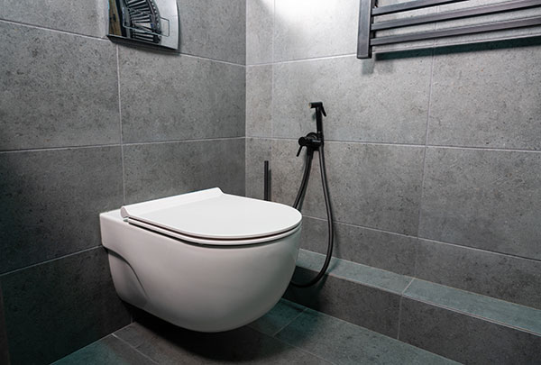 toilet in bath