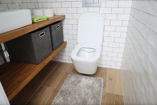 toilet issues and bath