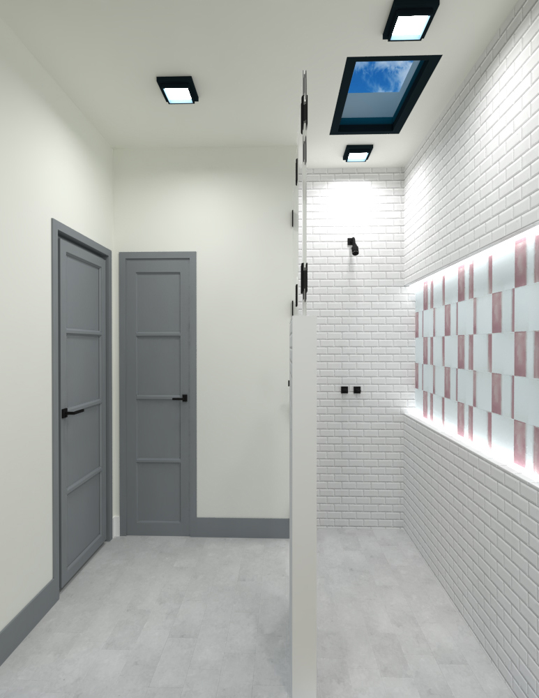 Section of the access area and shower