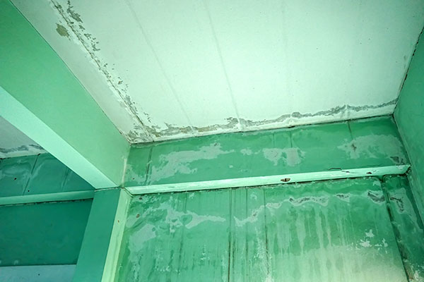 ceiling damage