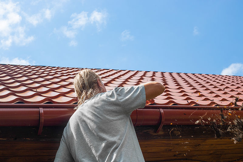 clean gutters
