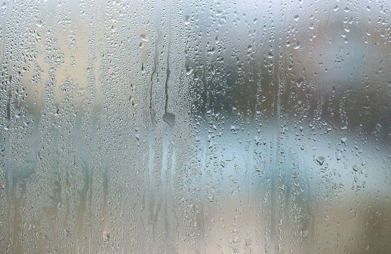 condensation in windows