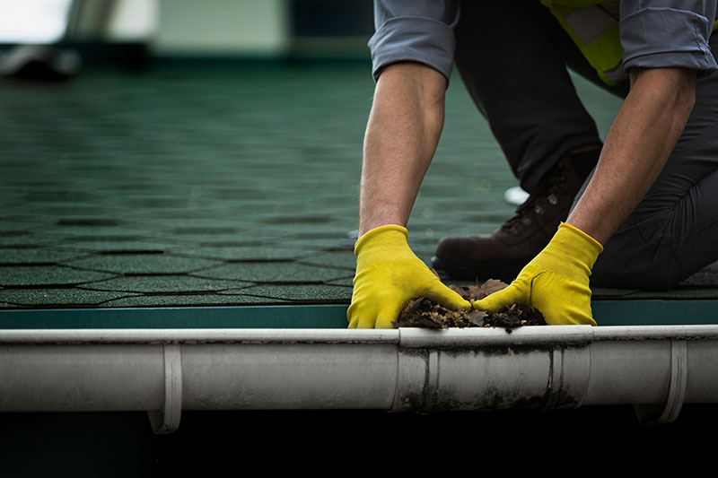 gutter cleaning