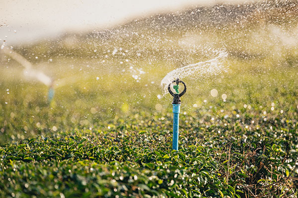 sprinkler systems