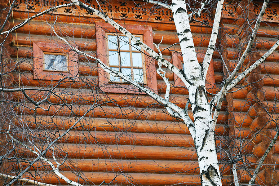 Tree falls in house