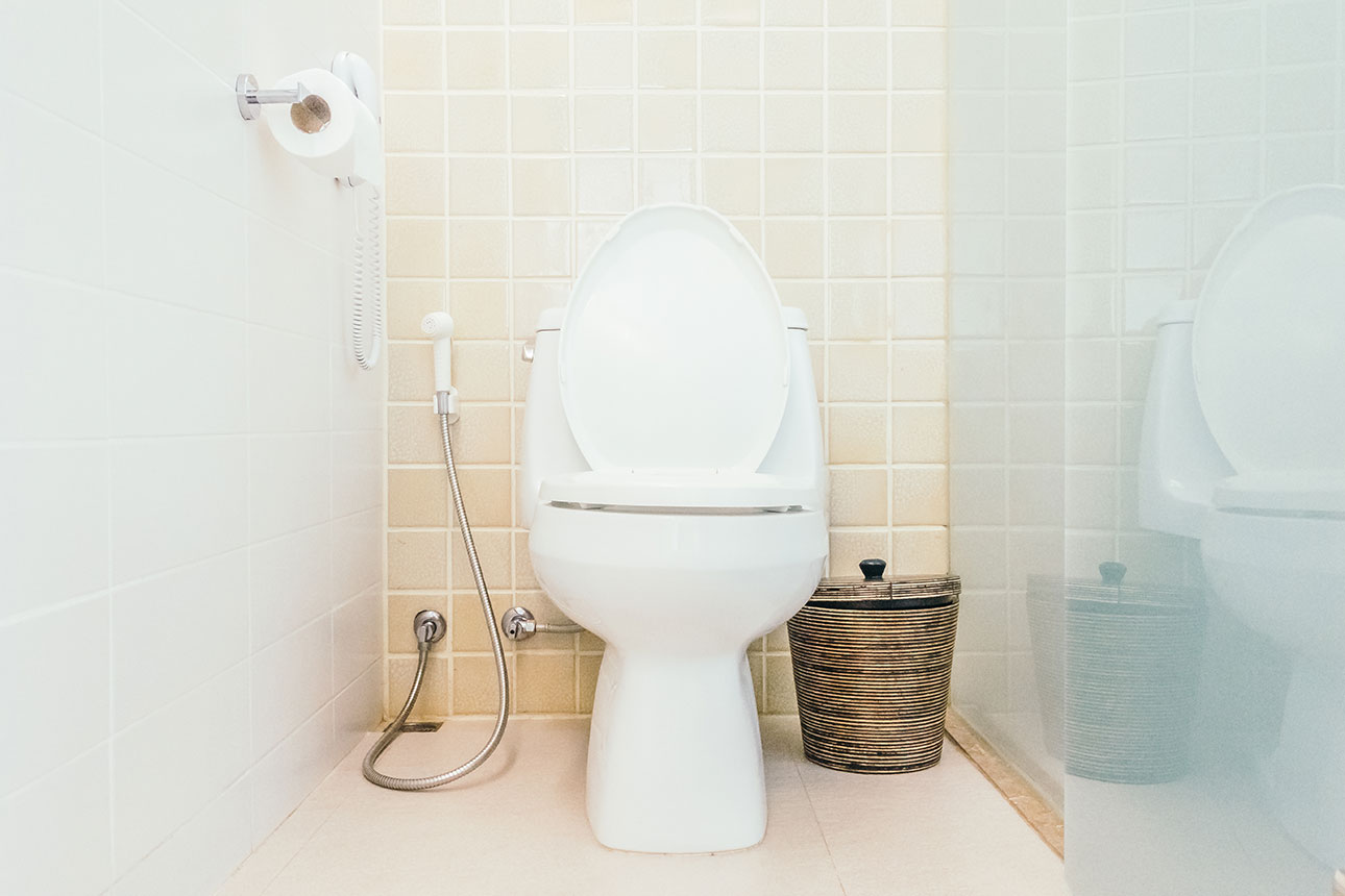 How to unclog a toilet without a plunger