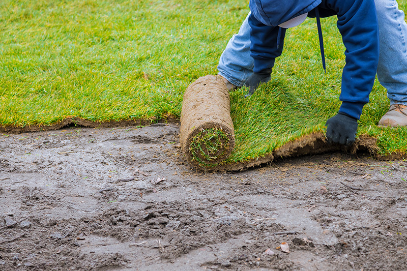 grass installation