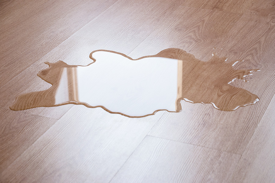home defect