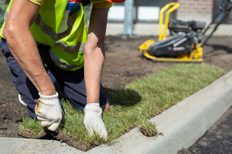 installing sod