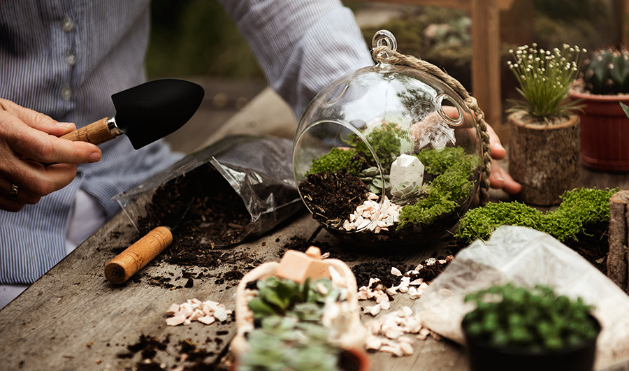 terrarium materials