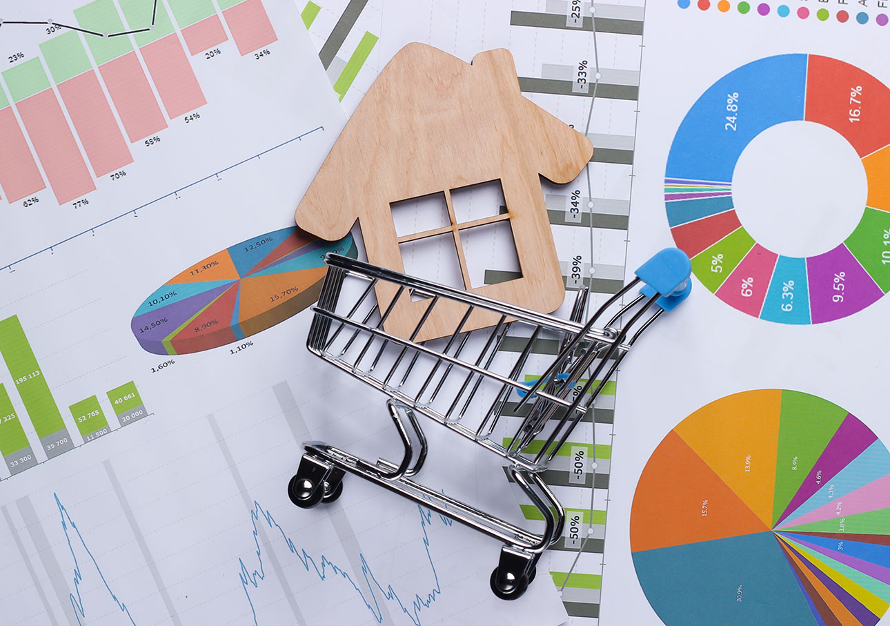 Complexities of Real Estate Economics