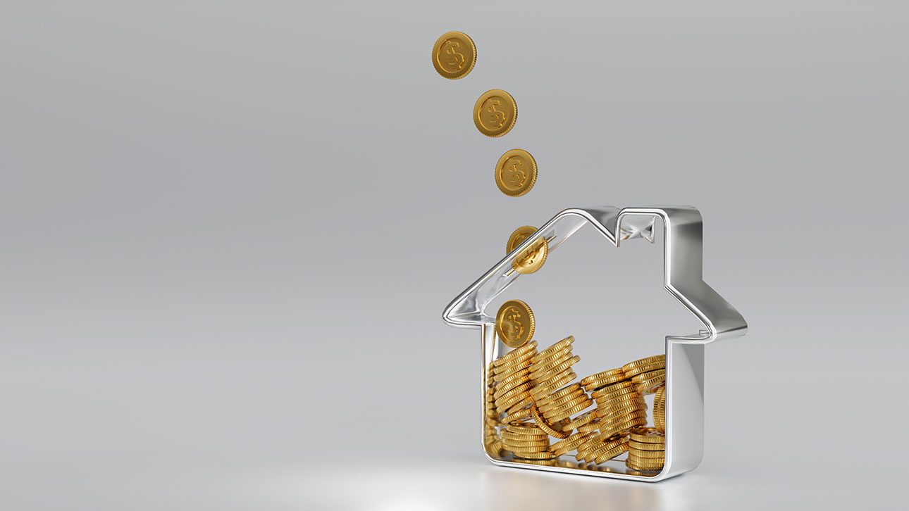 What is sweat equity