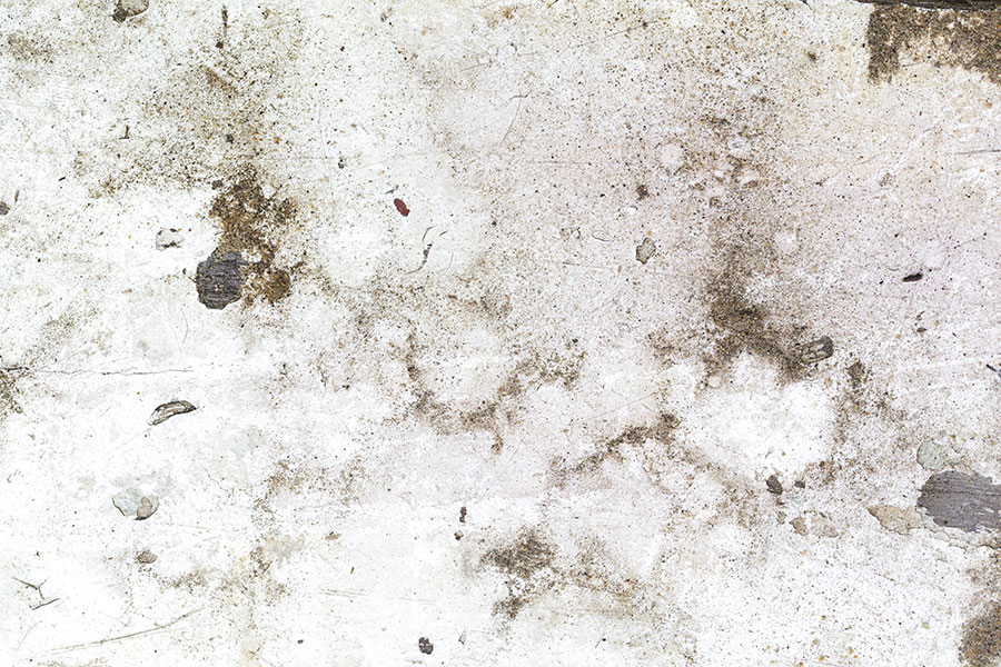 black points in walls