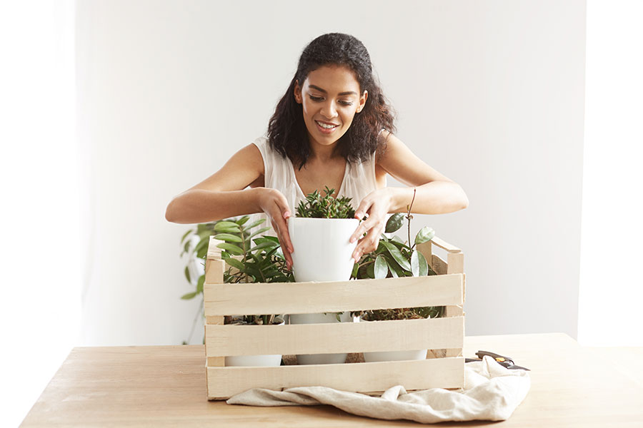 waste management in plants