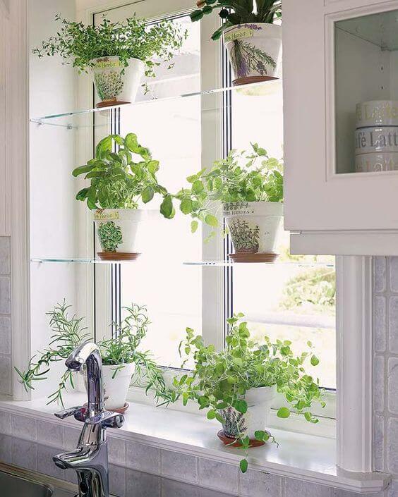 kitchen garden
