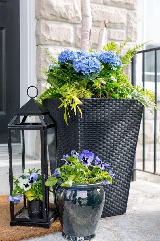plant pots