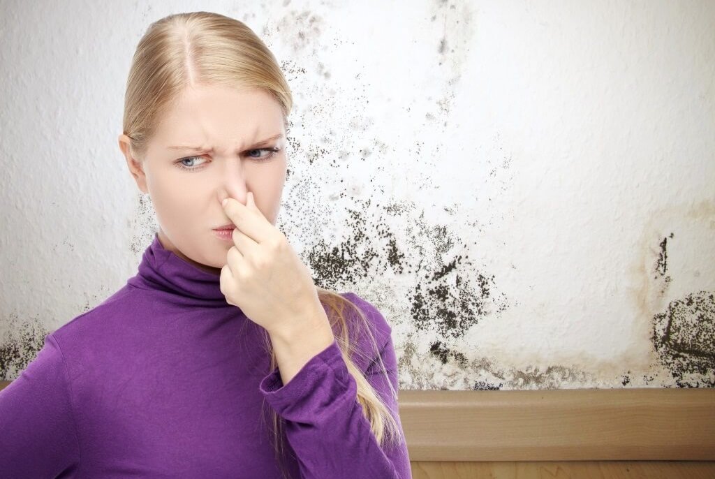 musty smell in house