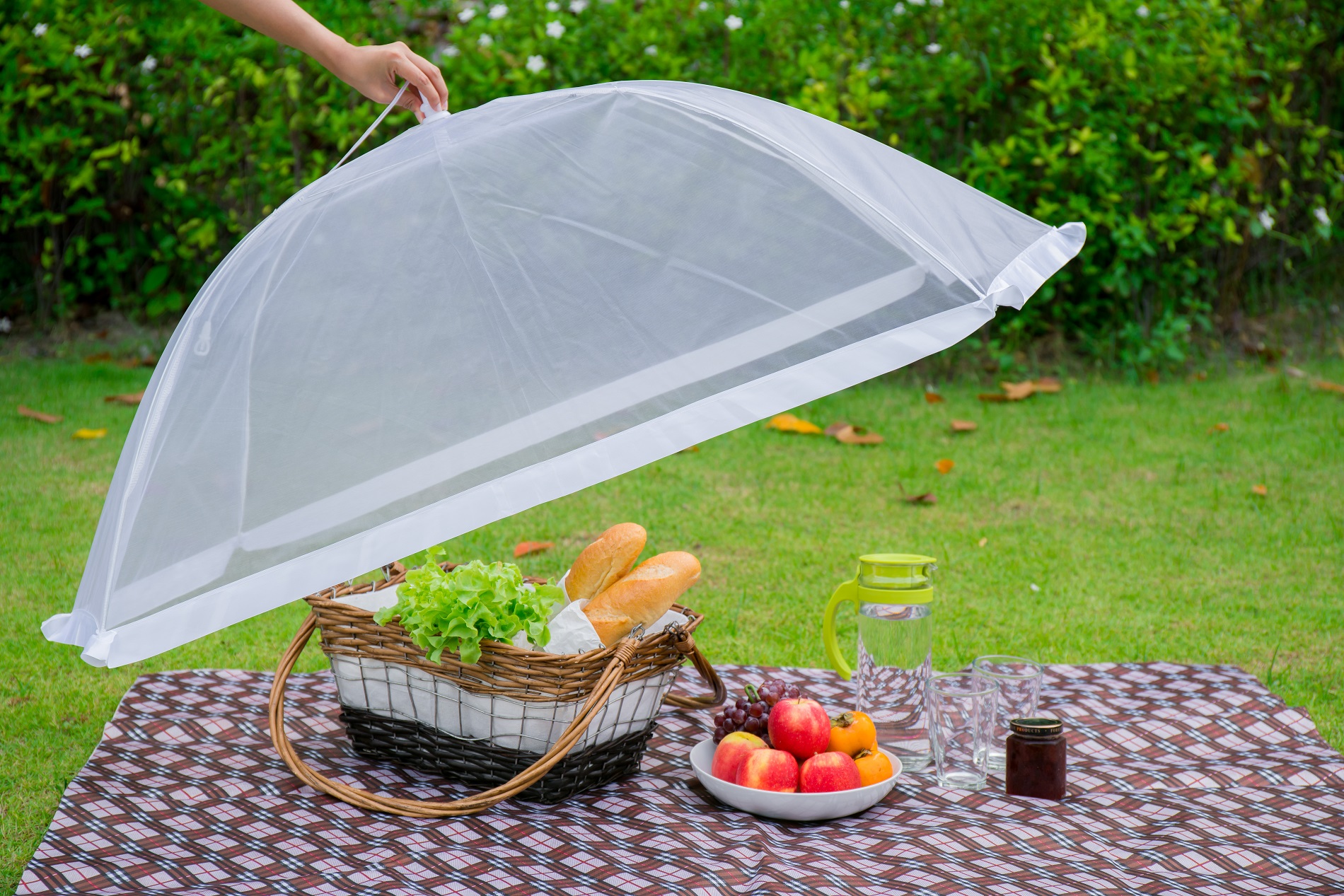 food cover